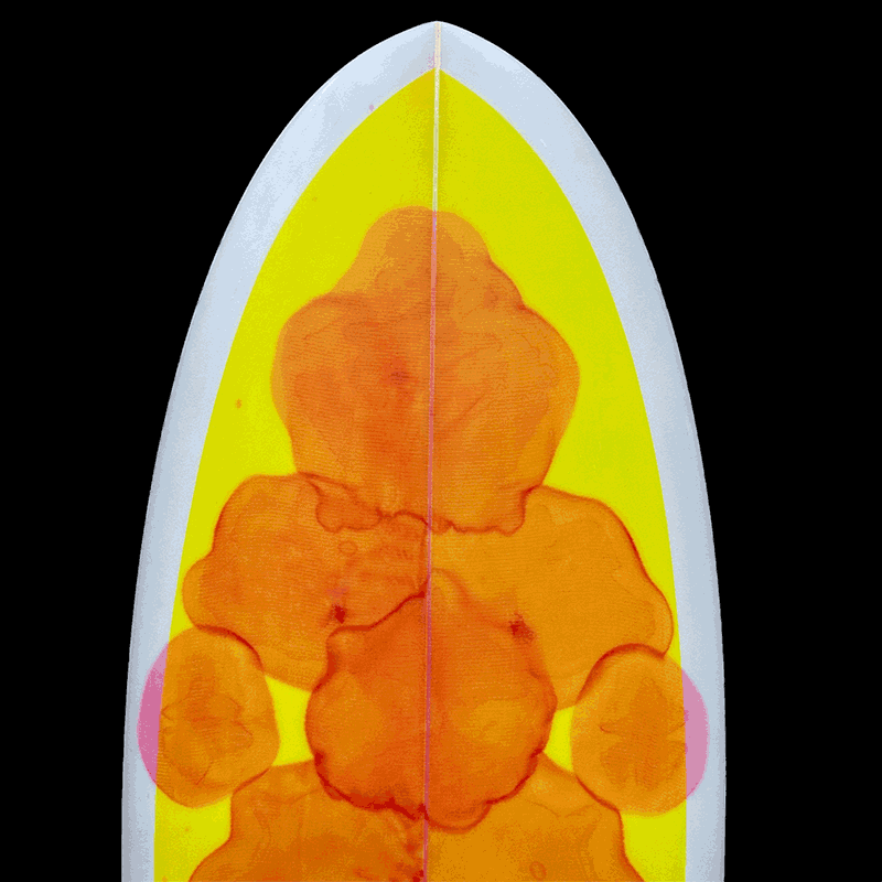 5' Boogie Fish + NEW