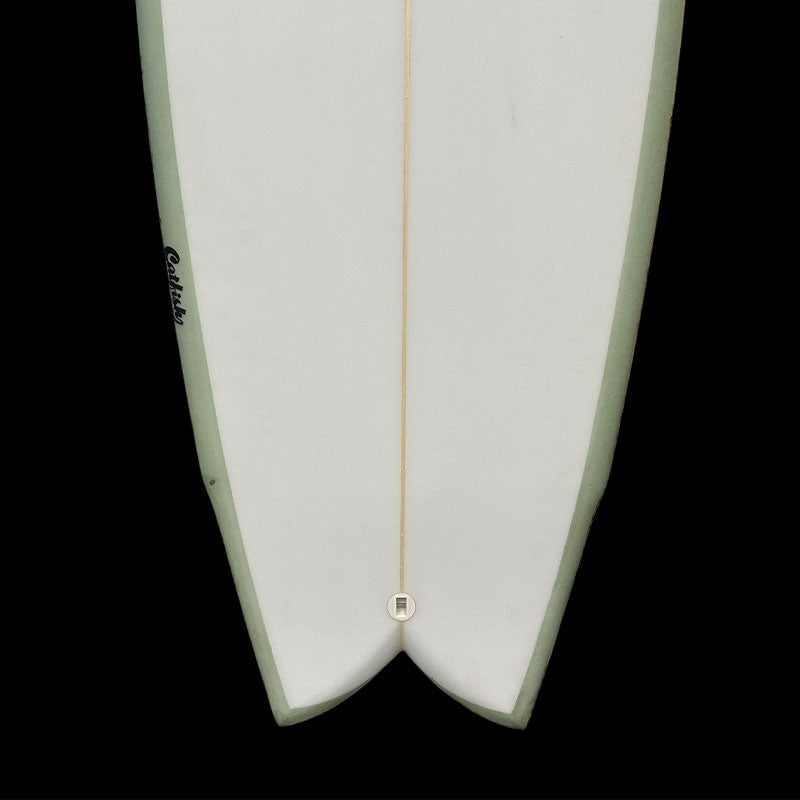 5'6" CatFish Quad + NEW