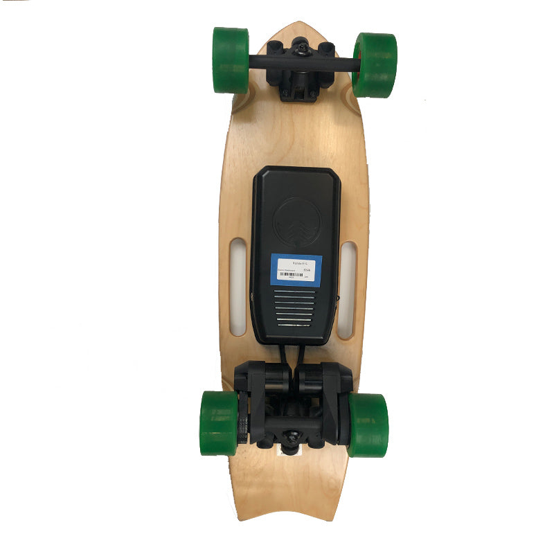 R1E Electric