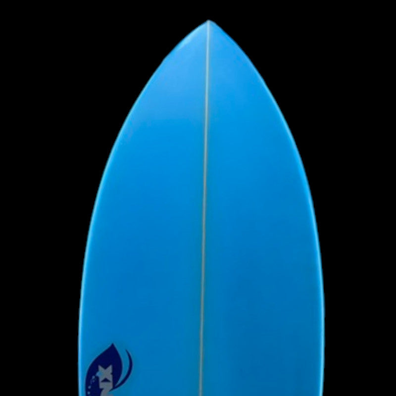 4'10" Fish, pu, 21.3L