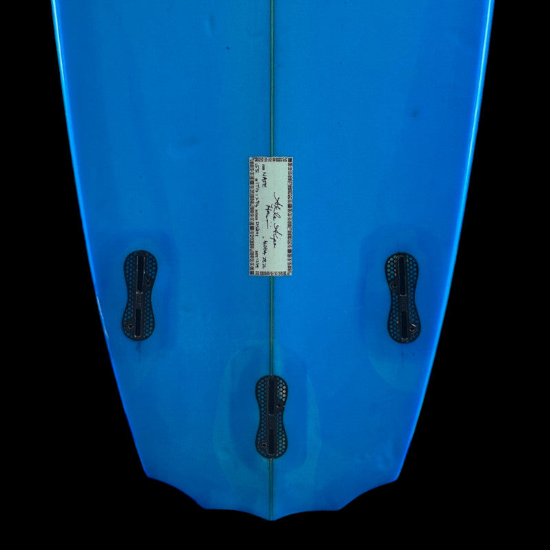 5'5" Contemporary Fish, pu, 29.2L