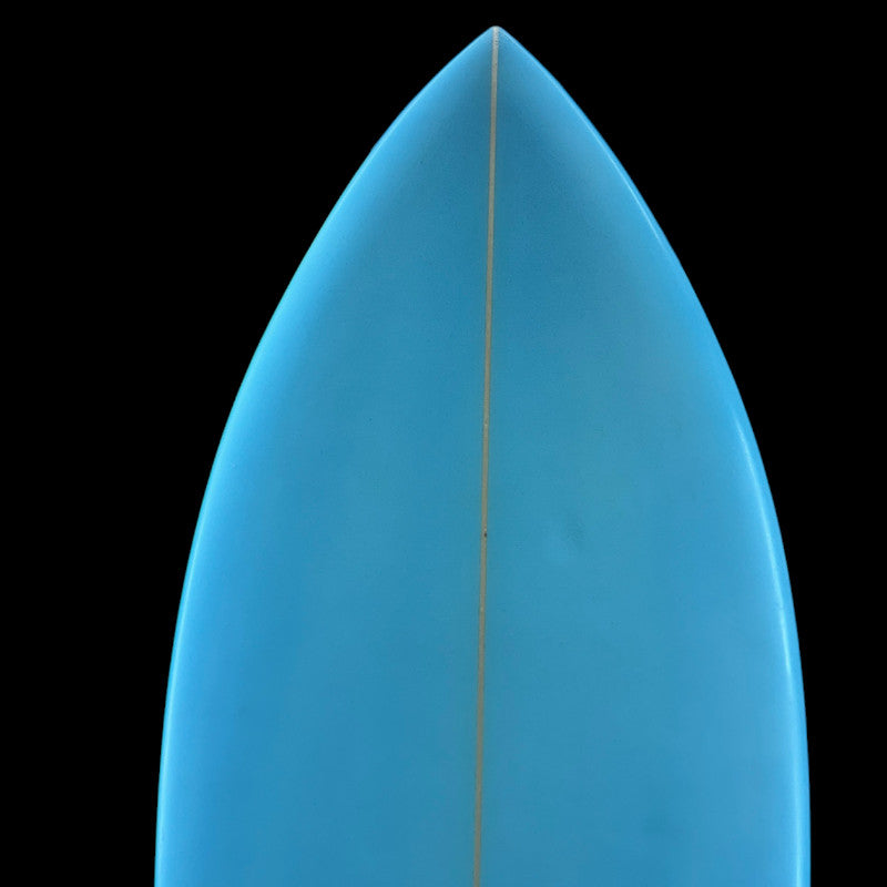 4'10" Fish, pu, 21.3L