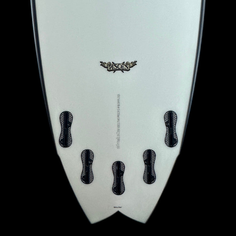 5'5" Pisces, Blacksheep, 28.5L